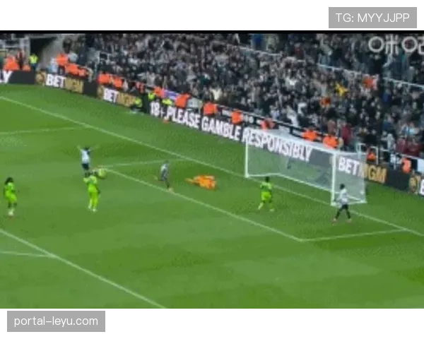 富勒姆主场1比0小胜桑德兰 收获近三轮联赛第二场胜利